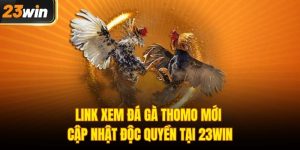 Xem đá gà Thomo mới